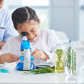 programa enriquecimiento ciencia